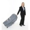 Pisces Productions Dolphin II Massage Chairs Carrying Case